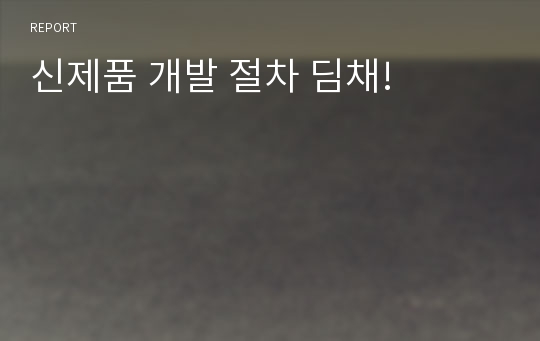 신제품 개발 절차 딤채!