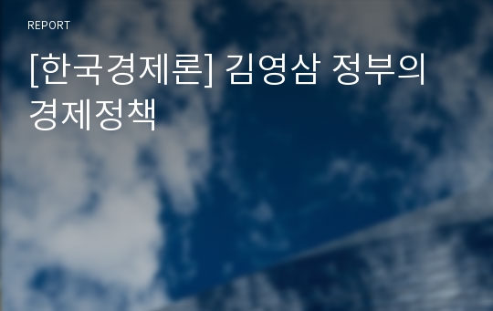 [한국경제론] 김영삼 정부의 경제정책