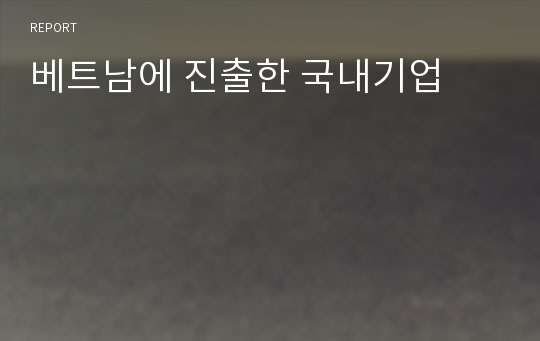 베트남에 진출한 국내기업