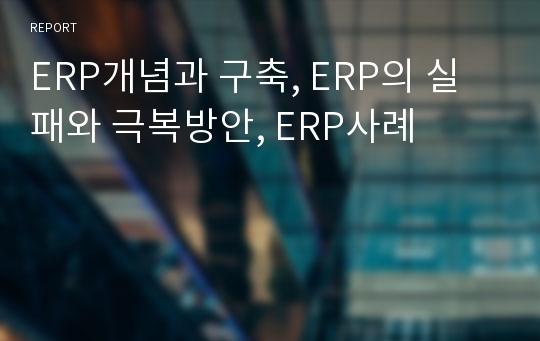 ERP개념과 구축, ERP의 실패와 극복방안, ERP사례