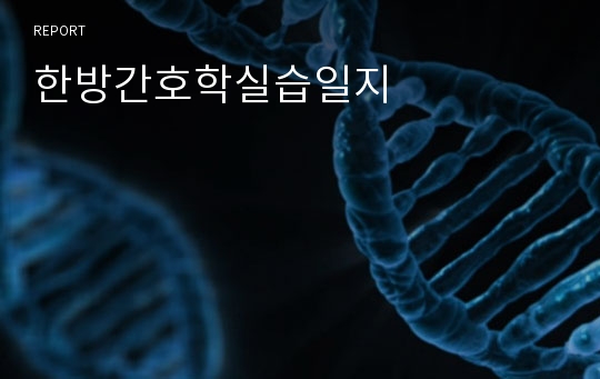 한방간호학실습일지