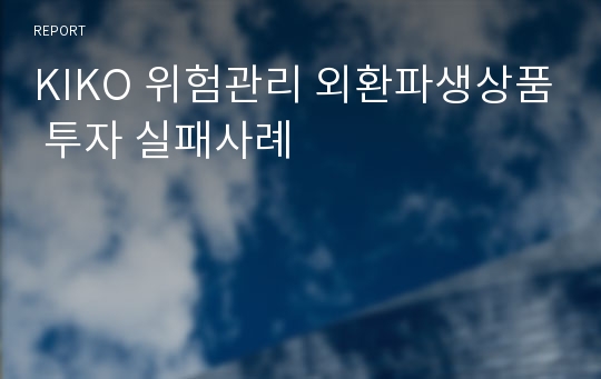 KIKO 위험관리 외환파생상품 투자 실패사례