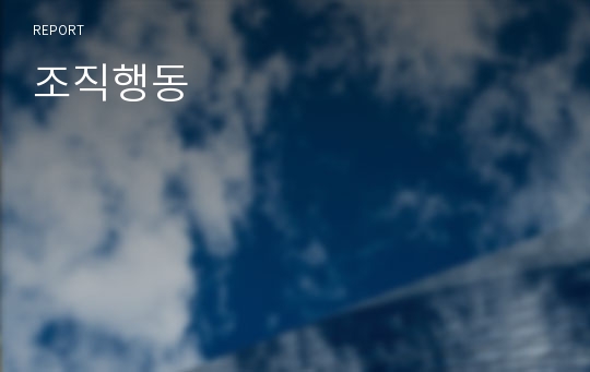 조직행동