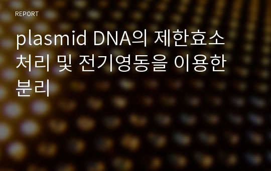 plasmid DNA의 제한효소 처리 및 전기영동을 이용한 분리