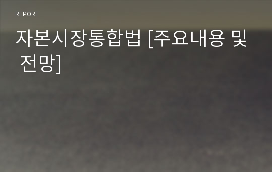 자본시장통합법 [주요내용 및 전망]