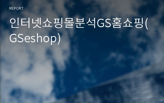 인터넷쇼핑몰분석GS홈쇼핑(GSeshop)