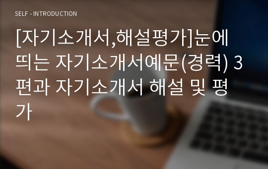 [자기소개서,해설평가]눈에 띄는 자기소개서예문(경력) 3편과 자기소개서 해설 및 평가