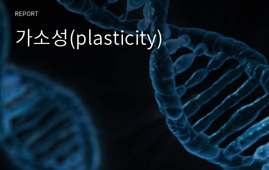 가소성(plasticity)