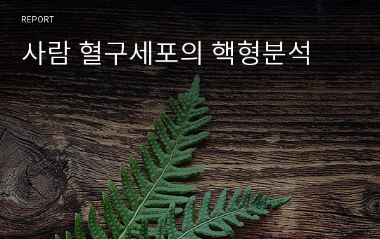 사람 혈구세포의 핵형분석