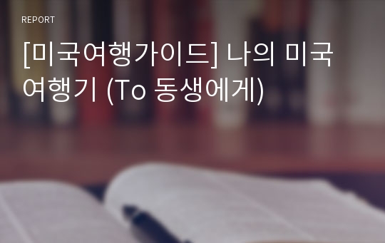 [미국여행가이드] 나의 미국여행기 (To 동생에게)