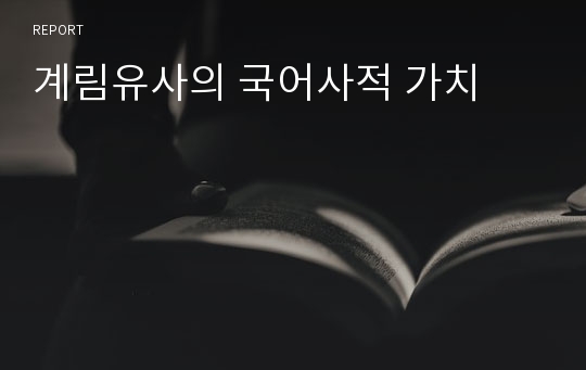 계림유사의 국어사적 가치