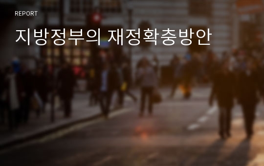 지방정부의 재정확충방안