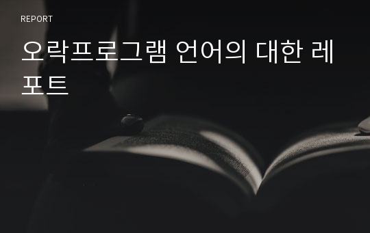 오락프로그램 언어의 대한 레포트