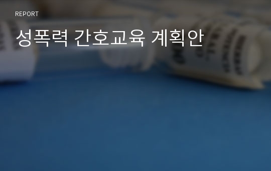 성폭력 간호교육 계획안