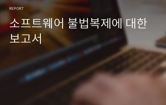 소프트웨어 불법복제에 대한 보고서