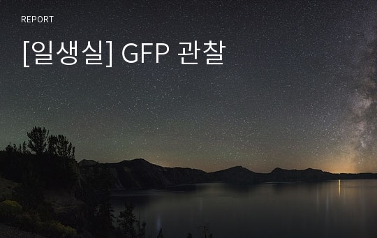 [일생실] GFP 관찰