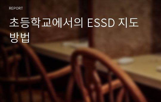 초등학교에서의 ESSD 지도방법