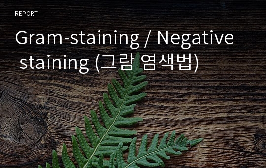 Gram-staining / Negative staining (그람 염색법)