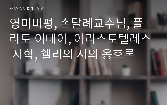 영미비평, 손달례교수님, 플라토 이데아, 아리스토텔레스 시학, 쉘리의 시의 옹호론