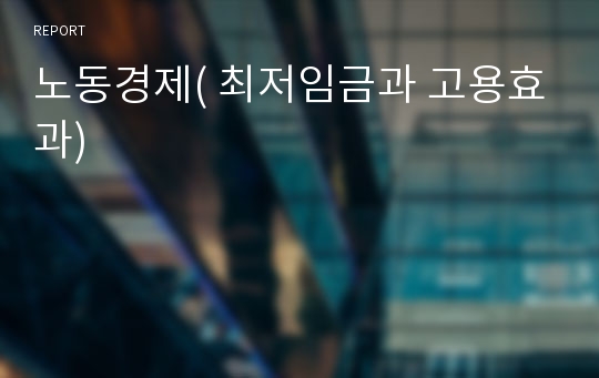 노동경제( 최저임금과 고용효과)