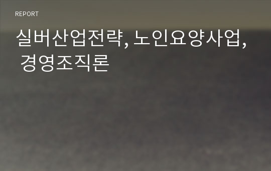 실버산업전략, 노인요양사업, 경영조직론