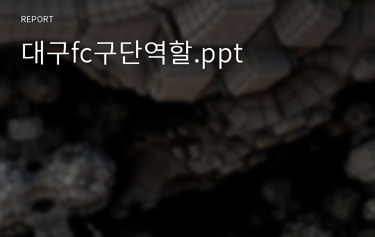 대구fc구단역할.ppt