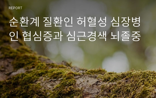 순환계 질환인 허혈성 심장병인 협심증과 심근경색 뇌졸중