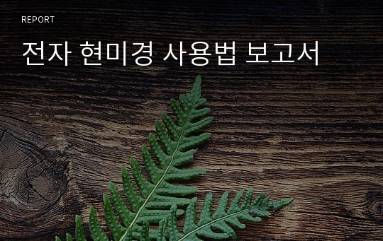 전자 현미경 사용법 보고서