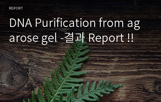 DNA Purification from agarose gel -결과 Report !!