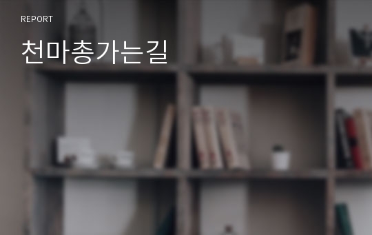 천마총가는길