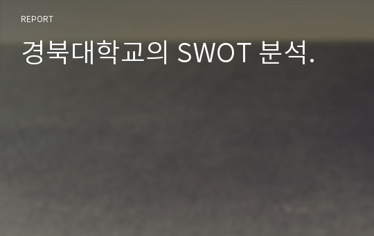 경북대학교의 SWOT 분석.