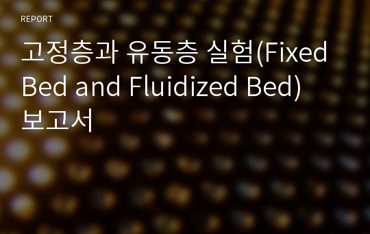 고정층과 유동층 실험(Fixed Bed and Fluidized Bed) 보고서