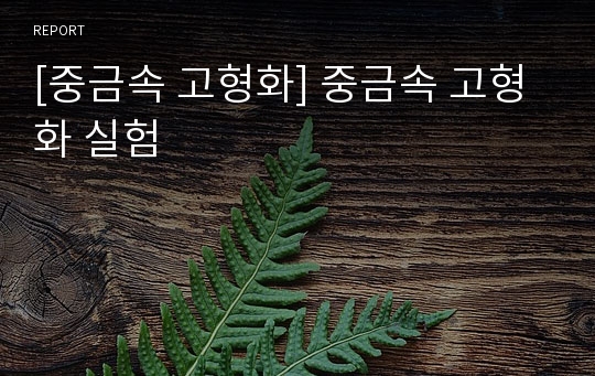 [중금속 고형화] 중금속 고형화 실험