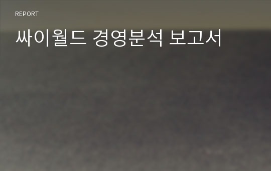 싸이월드 경영분석 보고서