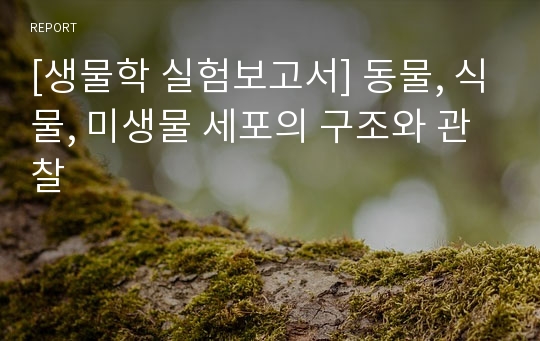 [생물학 실험보고서] 동물, 식물, 미생물 세포의 구조와 관찰