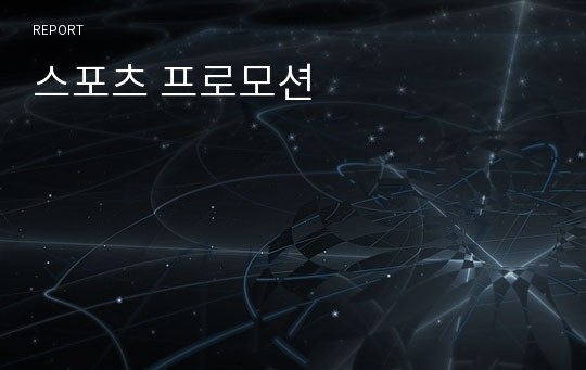 스포츠 프로모션