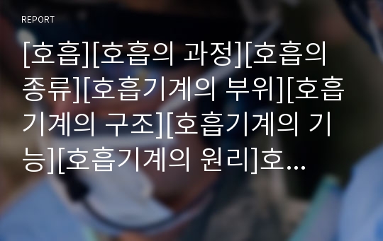 [호흡][호흡의 과정][호흡의 종류][호흡기계의 부위][호흡기계의 구조][호흡기계의 기능][호흡기계의 원리]호흡의 과정, 호흡의 종류와 호흡기계의 부위, 호흡기계의 구조, 호흡기계의 기능, 호흡기계의 원리 분석