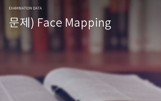 문제) Face Mapping