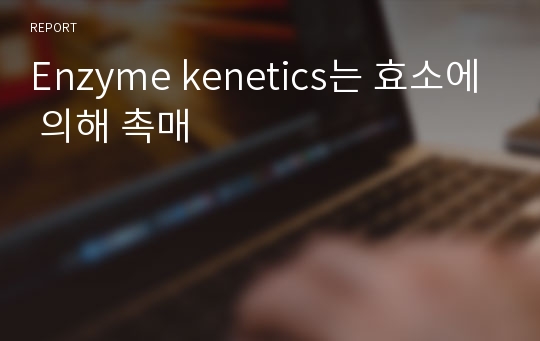 Enzyme kenetics는 효소에 의해 촉매