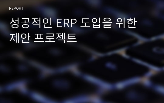 성공적인 ERP 도입을 위한 제안 프로젝트