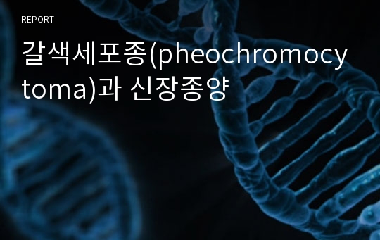 갈색세포종(pheochromocytoma)과 신장종양