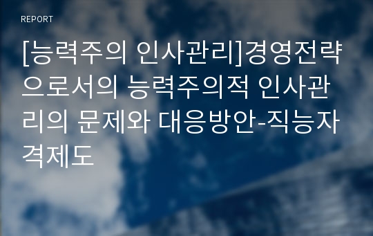 [능력주의 인사관리]경영전략으로서의 능력주의적 인사관리의 문제와 대응방안-직능자격제도