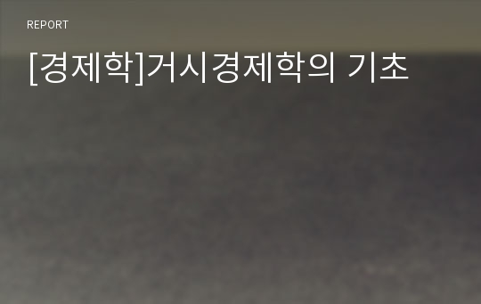 [경제학]거시경제학의 기초