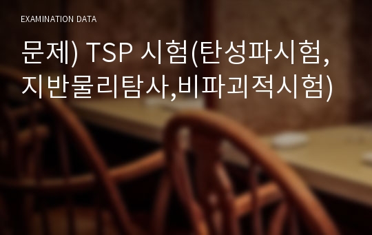 문제) TSP 시험(탄성파시험,지반물리탐사,비파괴적시험)