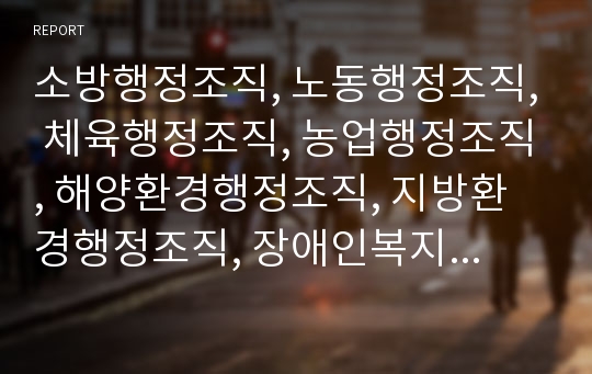 소방행정조직, 노동행정조직, 체육행정조직, 농업행정조직, 해양환경행정조직, 지방환경행정조직, 장애인복지행정조직, 남북통일행정조직, 서울특별시 문화관광행정조직, 중국행정조직 분석(행정조직, 행정)