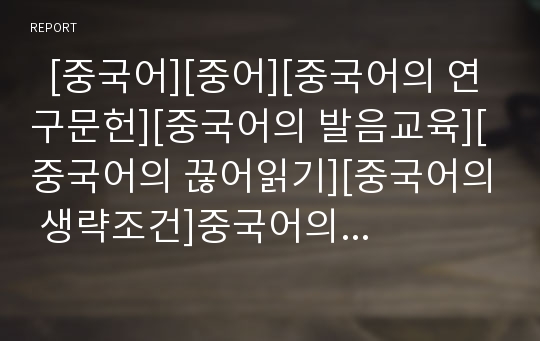   [중국어][중어][중국어의 연구문헌][중국어의 발음교육][중국어의 끊어읽기][중국어의 생략조건]중국어의 연구문헌과 중국어의 발음교육 및 중국어의 끊어읽기 그리고 중국어의 생략조건에 관한 분석(중국어)