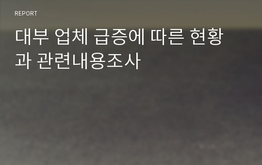 대부 업체 급증에 따른 현황과 관련내용조사