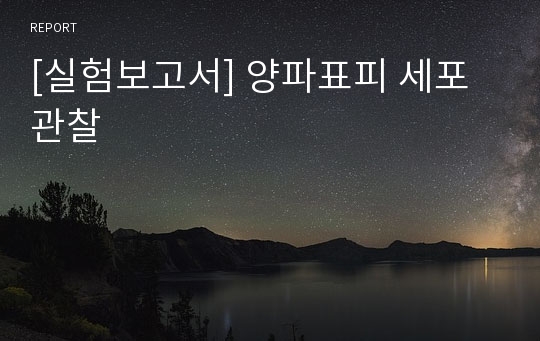 [실험보고서] 양파표피 세포관찰