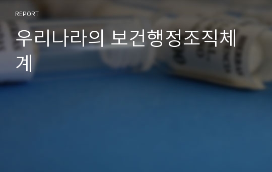 우리나라의 보건행정조직체계