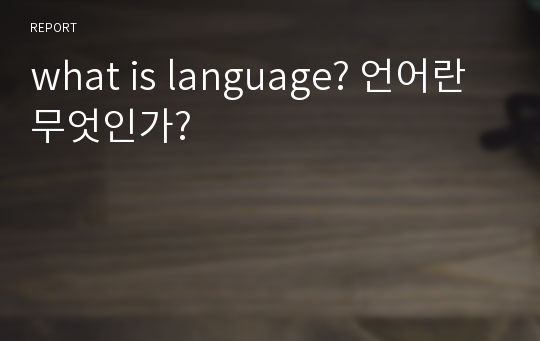 what is language? 언어란 무엇인가?